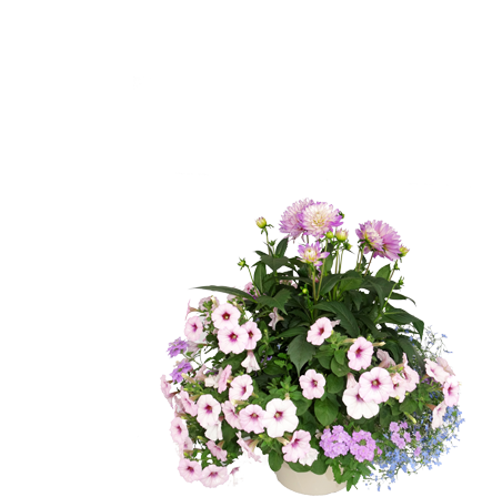 Potée de 13L Romantique