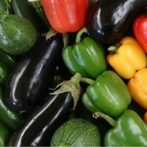 Cuccurbitacée et Solanacée